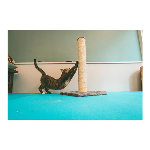 Beeztees-krabpaal-Katten_2.webp