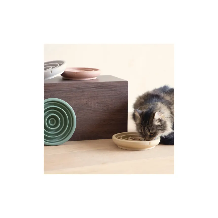 Pino_vier_kleuren copy.webp