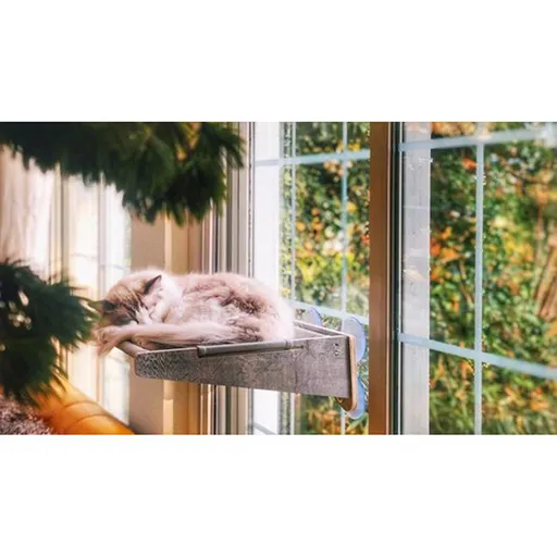 joycat_window_hammock_poes.webp