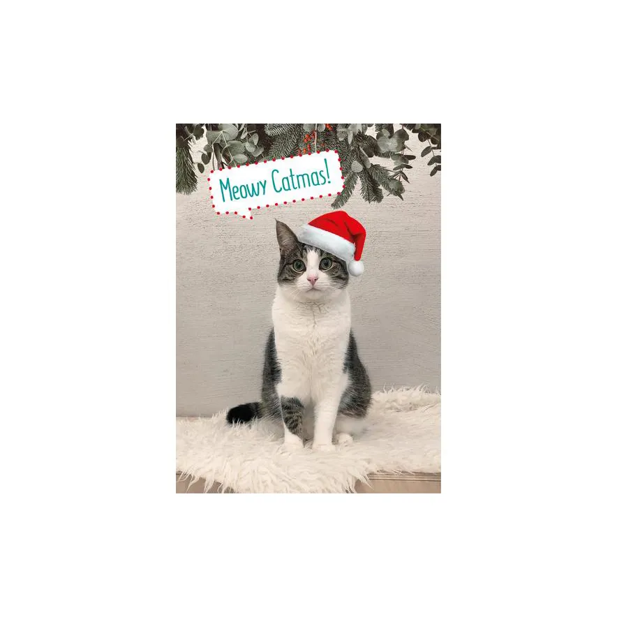 Kerstkaart DreamCATchers