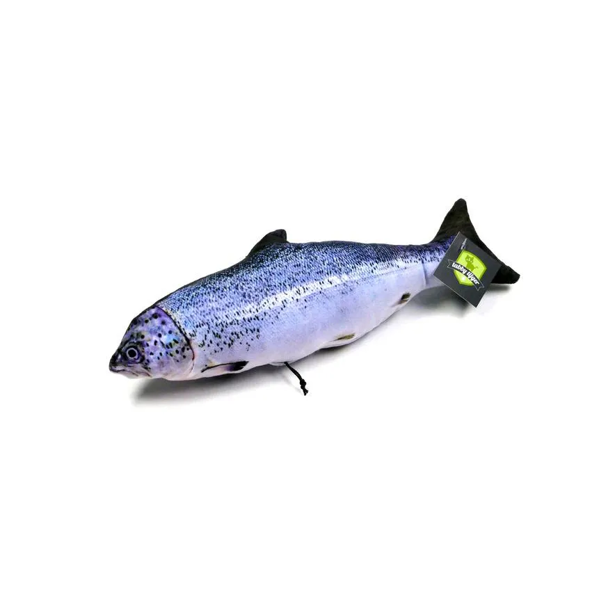 Zalm met kruiden