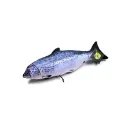 Zalm met kruiden