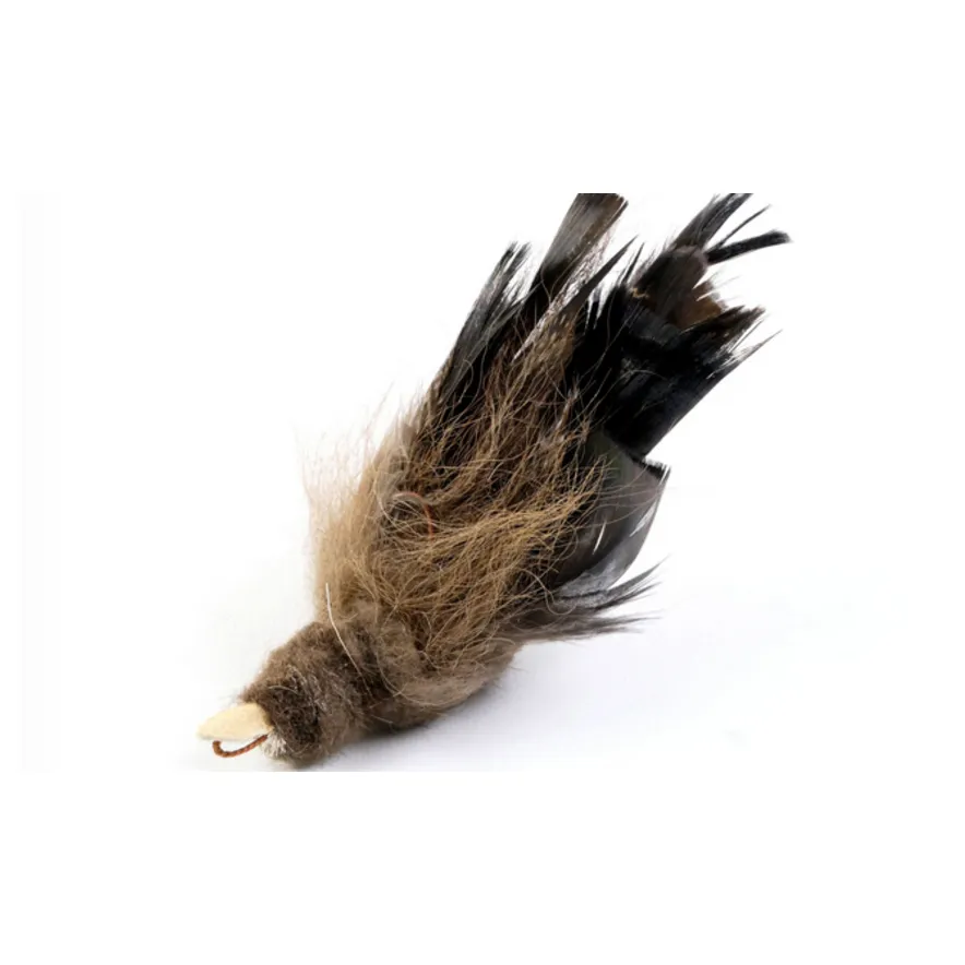 [Tabby Tijger] Huismus