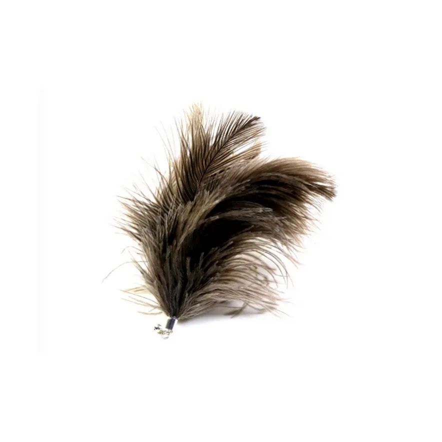 [Tabby Tijger] Struzzo